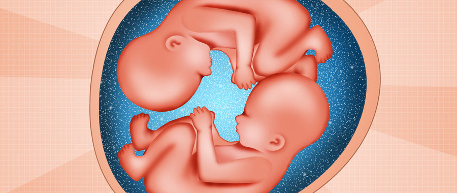 Fetal Debates